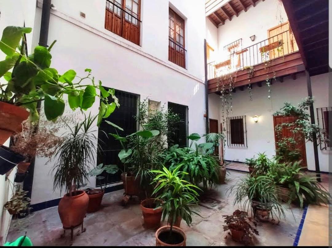 Coco Home Sevilla Urban Apartment 외부 사진